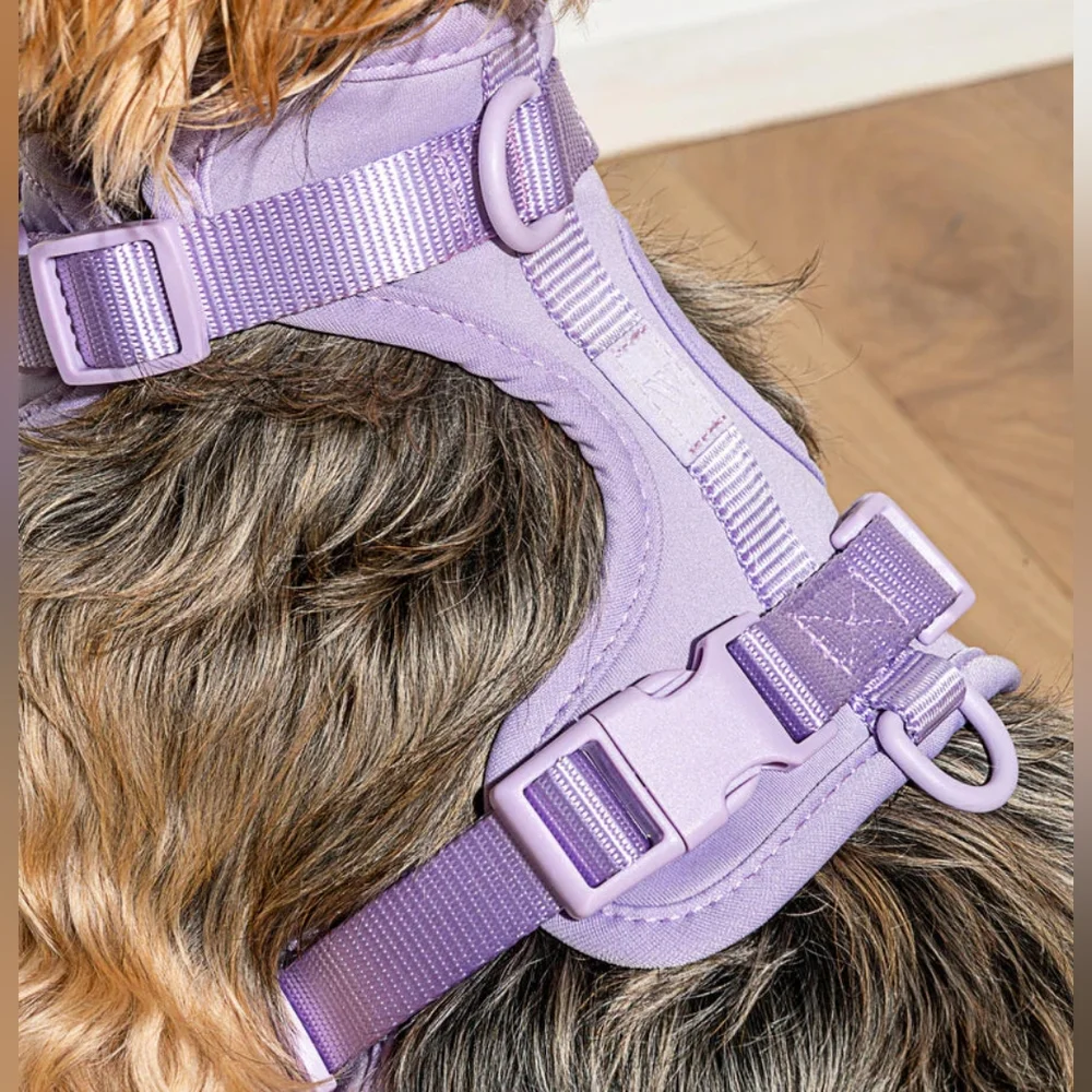 Wild One Limited Edition Dog Harness